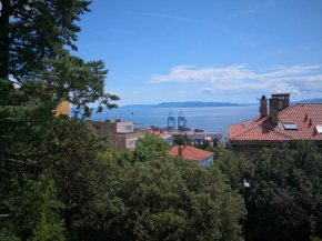 Apartman Bulevard Second floor